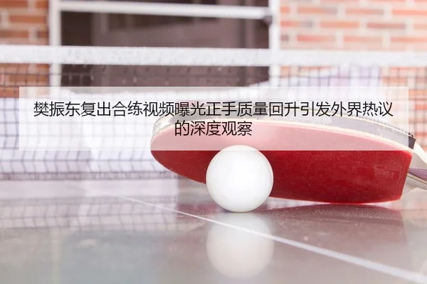 樊振东复出合练视频曝光正手质量回升引发外界热议的深度观察