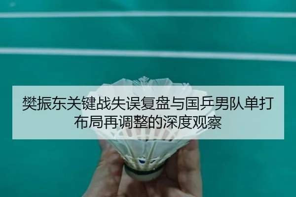 樊振东关键战失误复盘与国乒男队单打布局再调整的深度观察